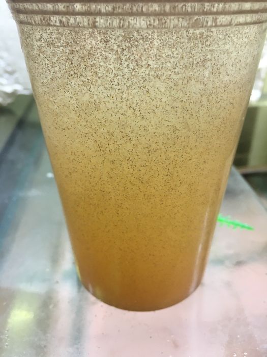 Oua de Artemia hrana puiet