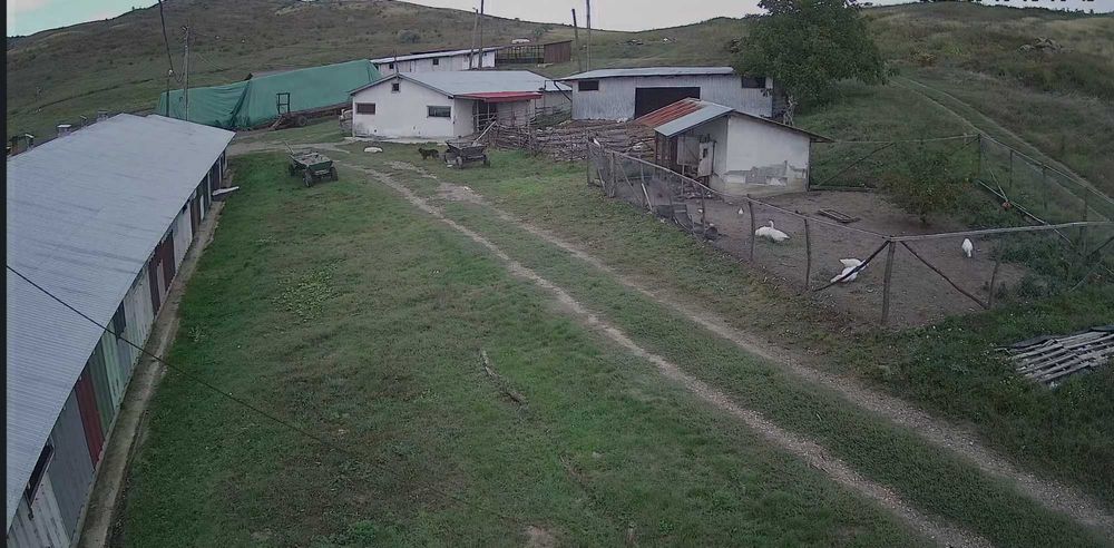 Ferma de vanzare judet Botosani