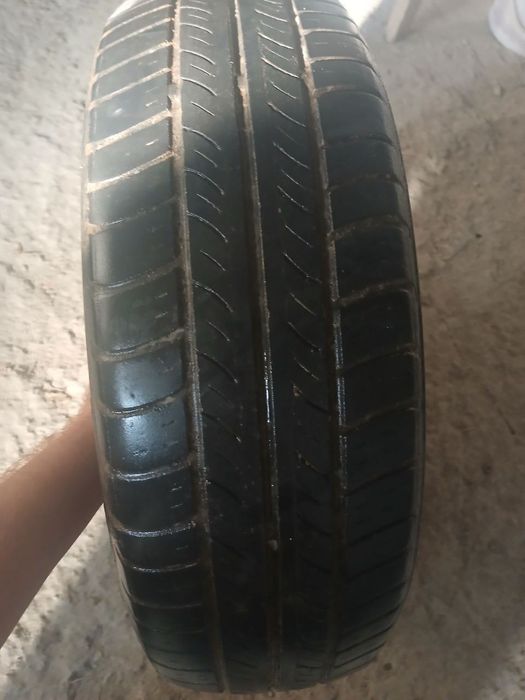 13 R bolon diskasi bn