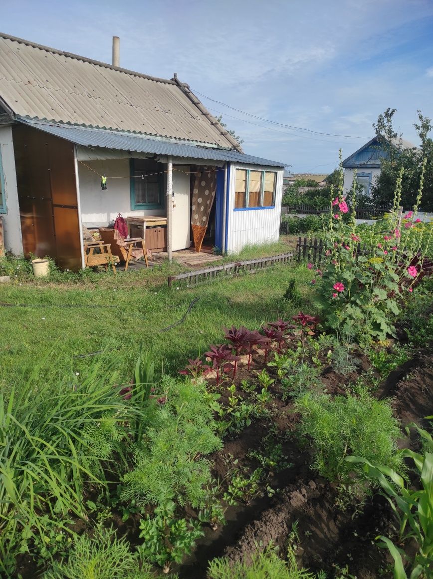 Продам дачу Сады 1  КВ 12