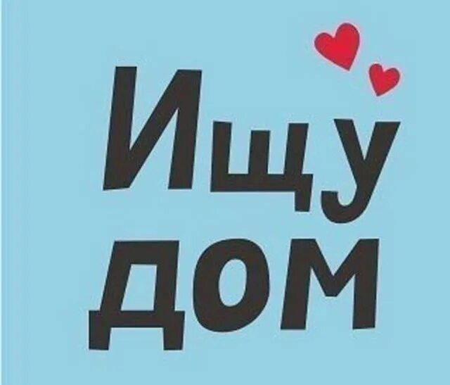 Ищем дом в аренду на долгий срок