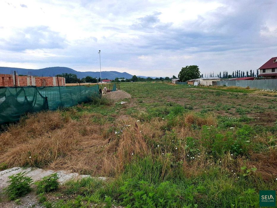 Teren de vanzare  Radomiresti