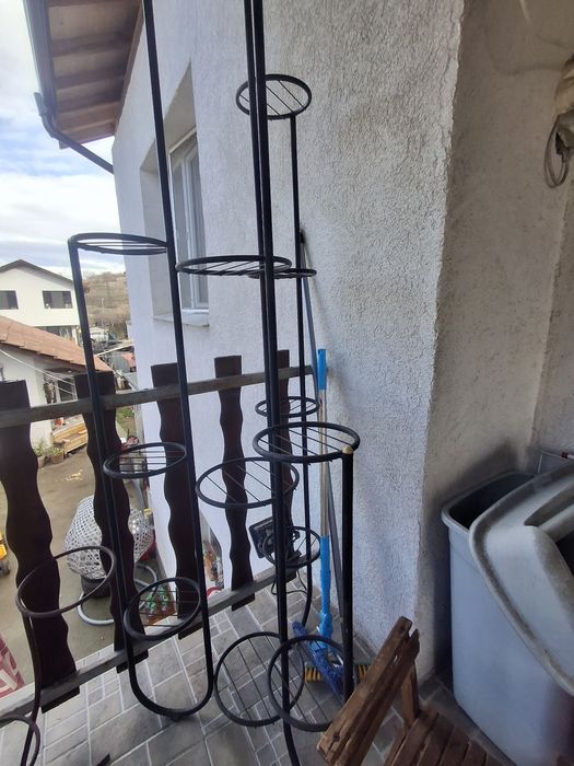 Цветарници  голями