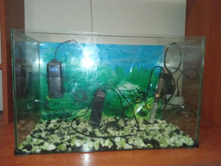Аквариум 50 литра - оборудван