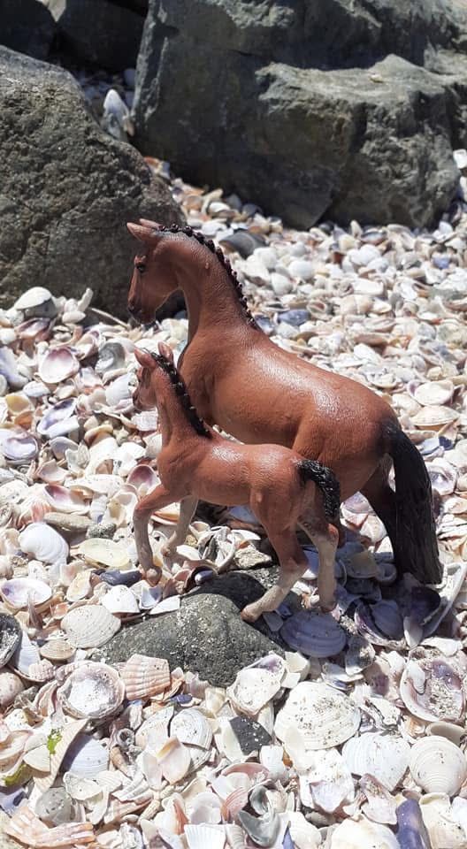 Schleich кончета – фигурки за деца и колекционери