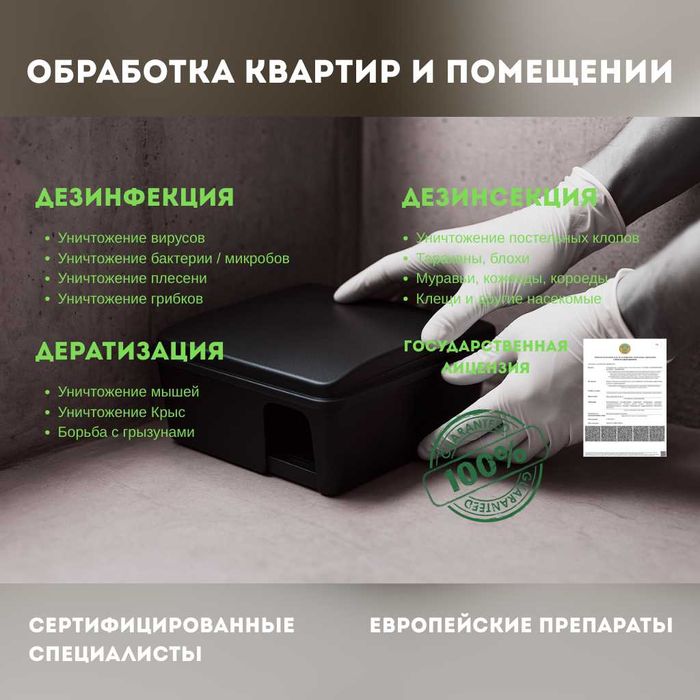 Уничтожение Мышей и Крыс | Профессиональная Дератизация