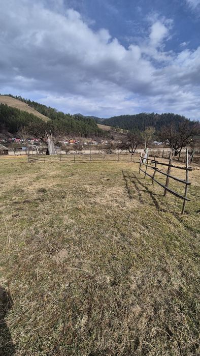 Teren in Savinesti, Poiana Teiului, Neamt