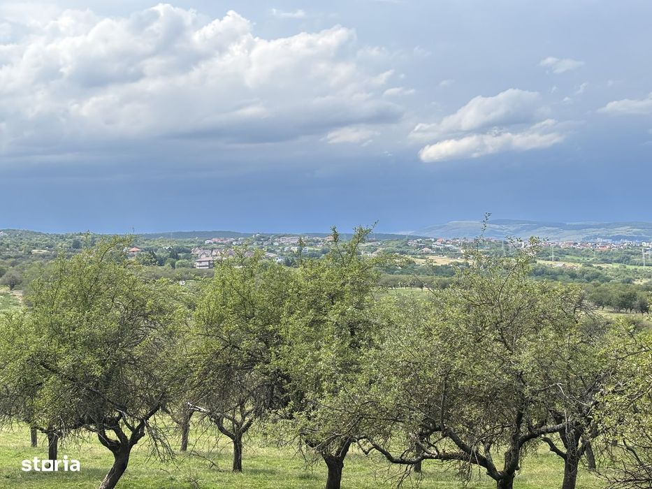Teren intravilan Feleacu- zona Aroma