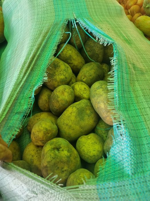 Картошка на зиму 250тг