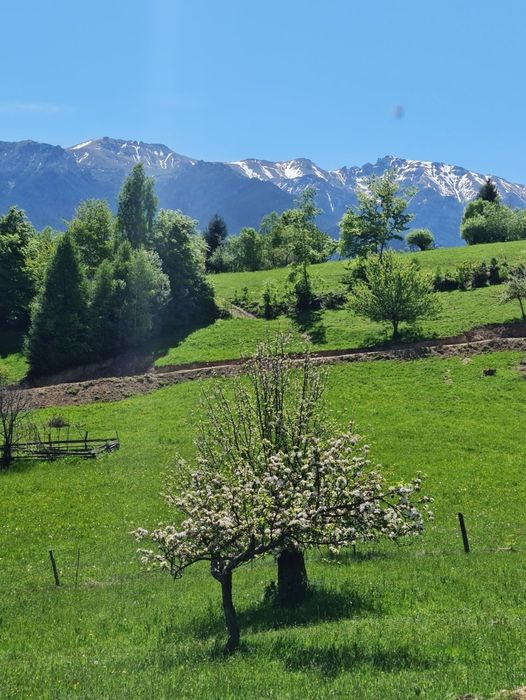 Teren ieftin la munte ! Acum si în RATE FĂRĂ AVANS, zona Bran, Fundata