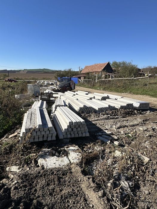 Stalpi din beton / spalier