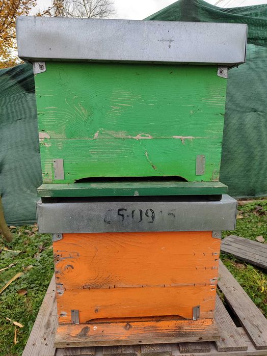 Stupi ( lăzi 12 rame)