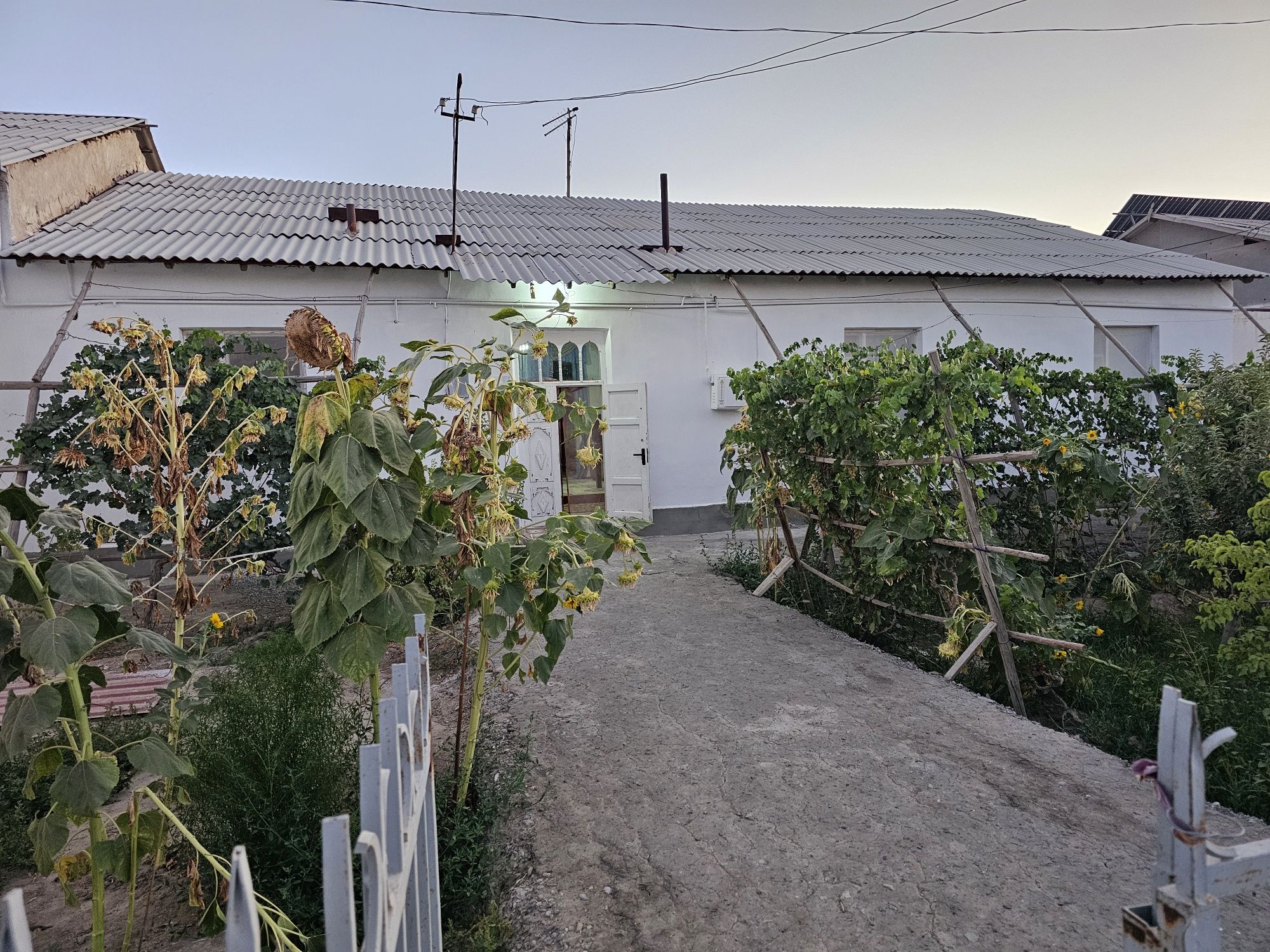 Гурлан тумани марказида 650 м.кв. ховли жой сотилади.