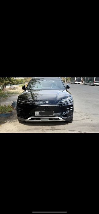 Byd champion honor 605