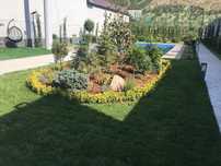 Gazon, landshaft dizayn, avtopoliv, daraxtlarni dorilash