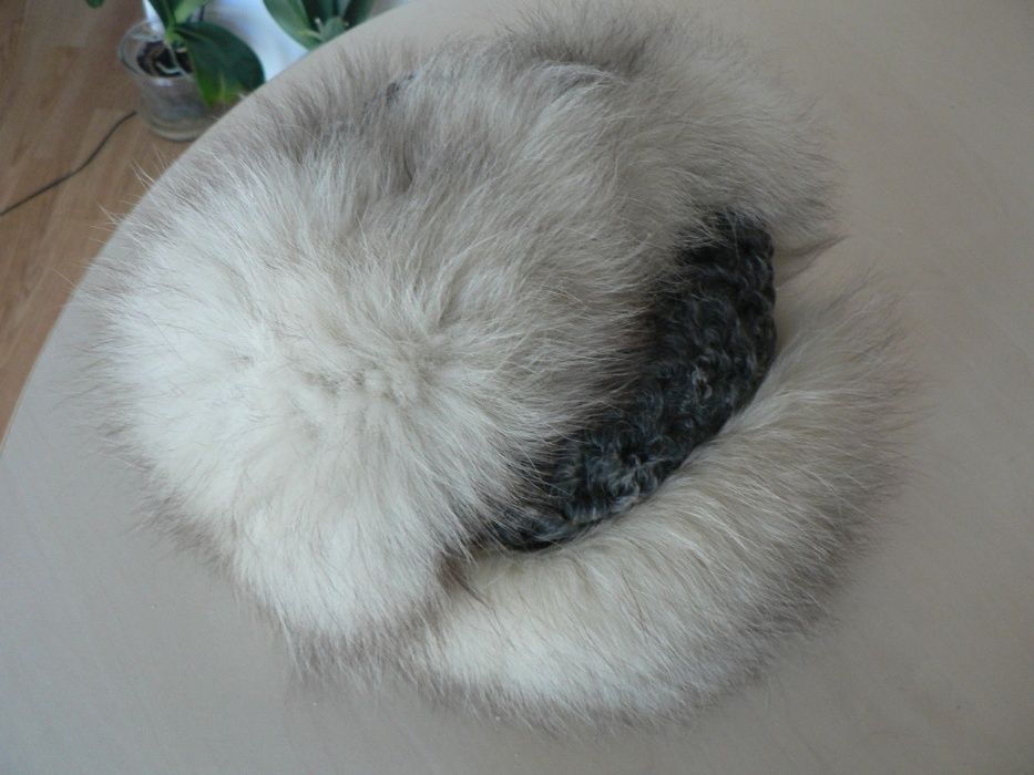 Caciula blana vulpe polara , exceptionala