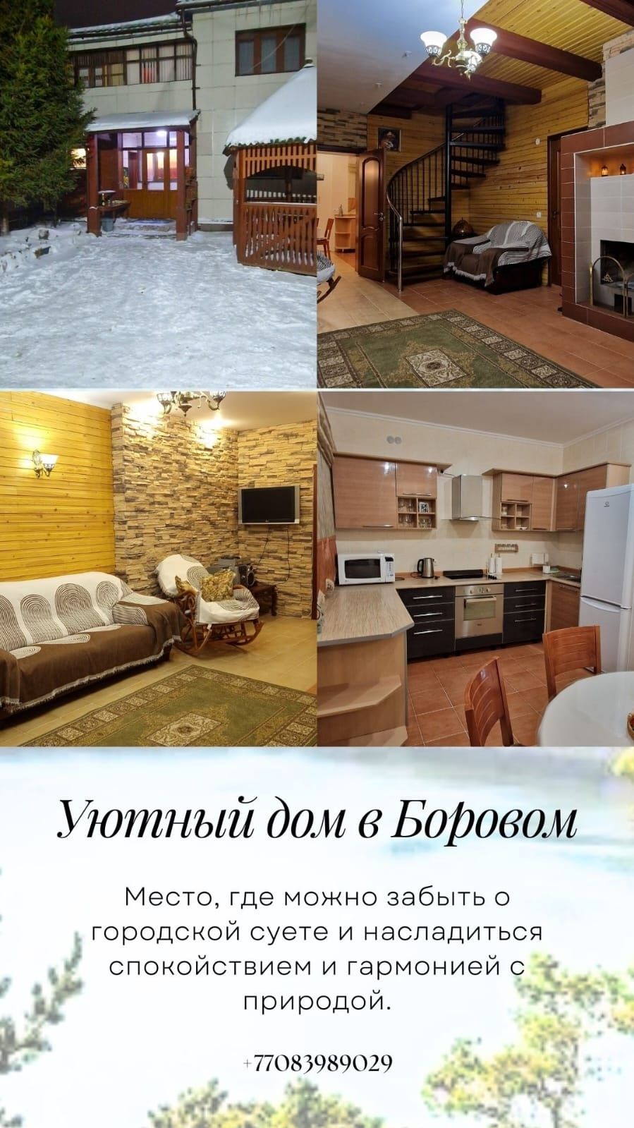 Аренда дома в боровом
