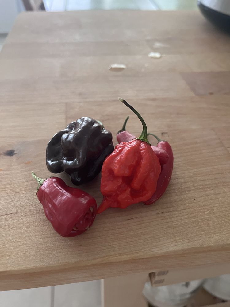 Семена от Каролира Рийпър / Carolina reaper seeds + още сортове