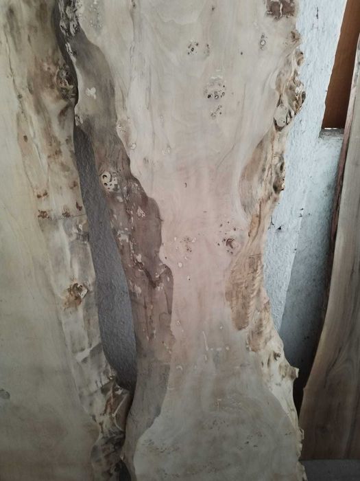 cherestea tamplarie  blaturi  scari  anin stejar nuc frasin ulm plop