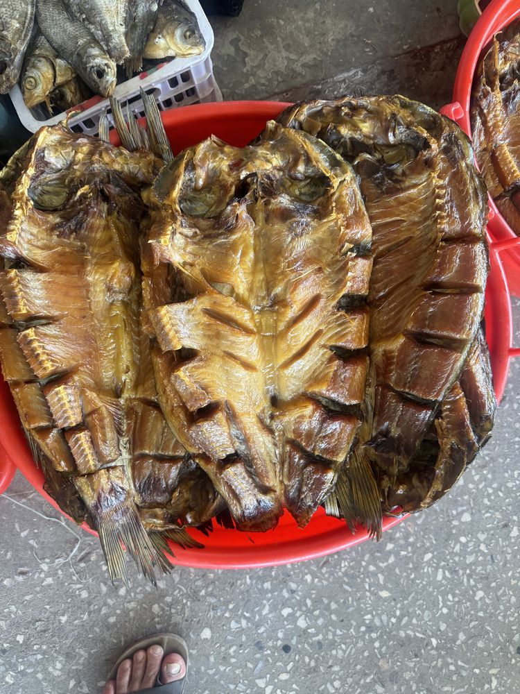 Копчёная рыба в Туркестан