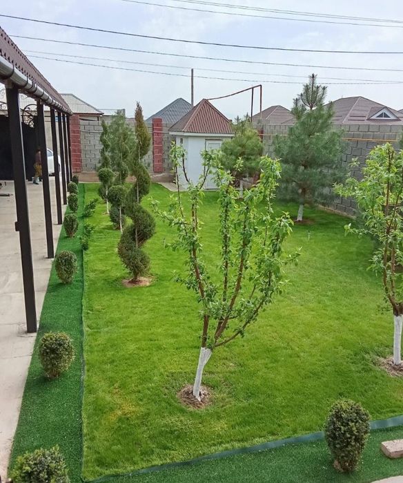 Обрезка плодовых деревьев