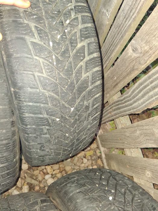 Caiciucuri r16 de vanzare