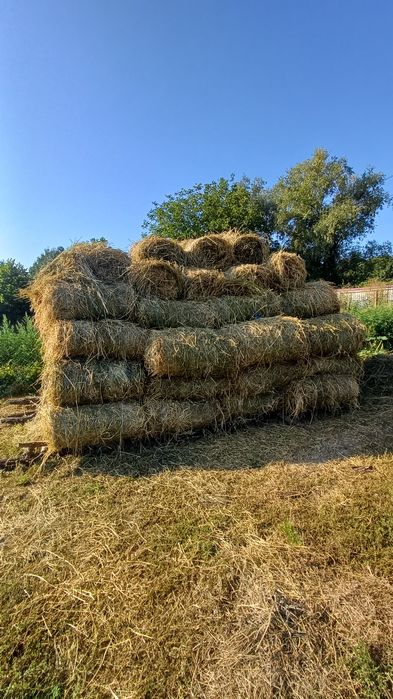 Schimb baloti de lucerna cu cherestea
