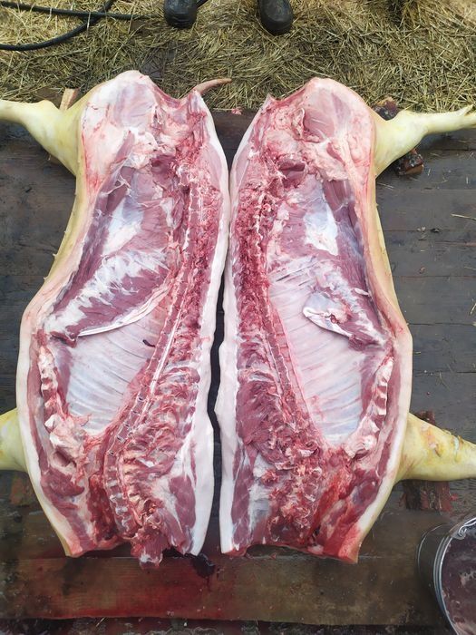 Свежее мясо свинины 1500 оптом