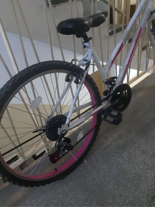 Bicicleta Venis Vision 24