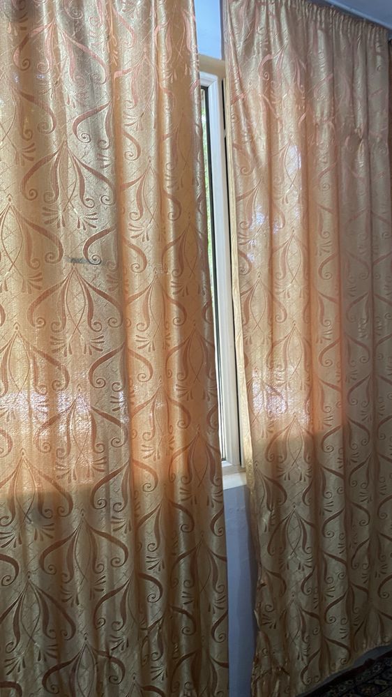 Сдаю квартиру одну комнатную