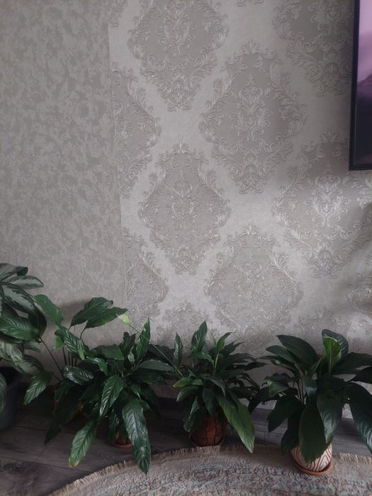 Цветы комнатные в горшках