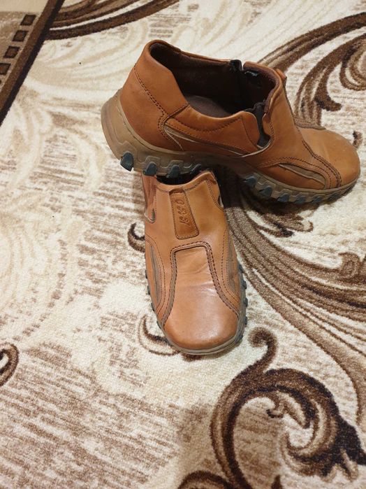 zakriti zimni ydobni pbyvki