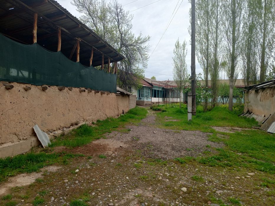 Yer xovli sotiladi 24 sotix aray hoji kolga kerurishda kavardanda