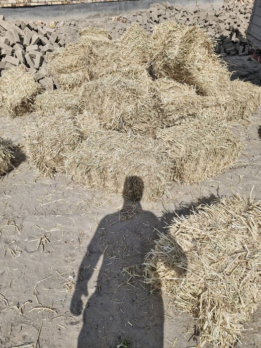 Сабан прес бар жеткізу бар