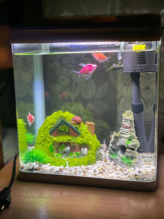 Продам аквариум Каспи Ред