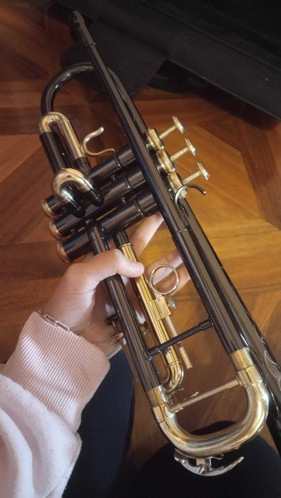 trompetă  profesională