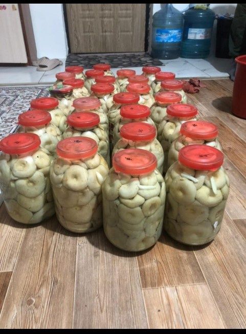 Грибы маринованные