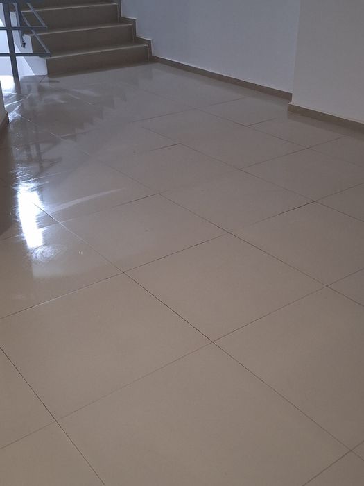 Curatenie scari de bloc