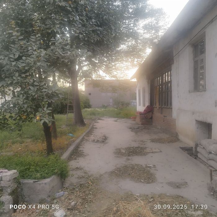 Кукон шахарда ховли уй