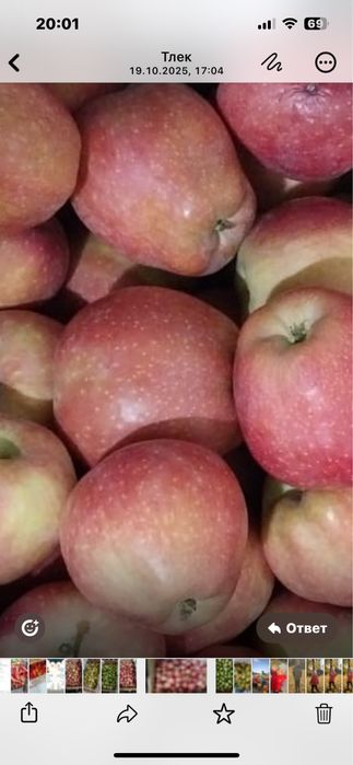 Яблоки и груши мелким оптом