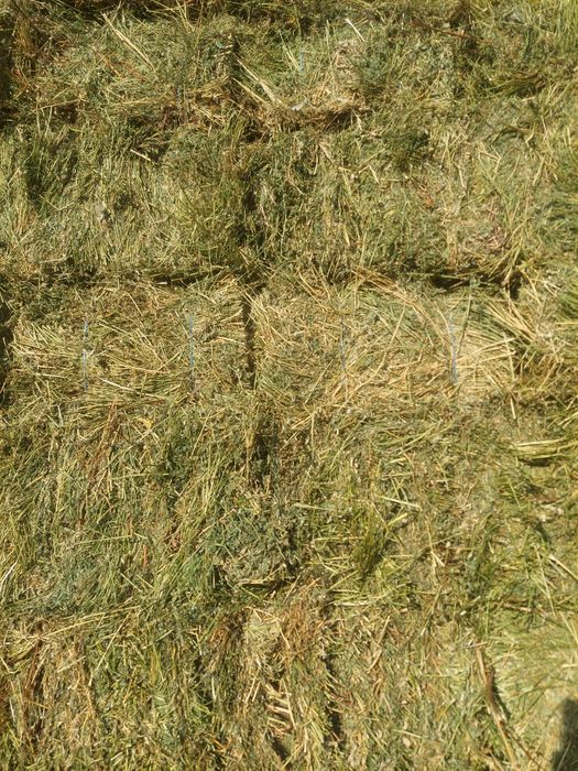 Baloți lucernă și fân