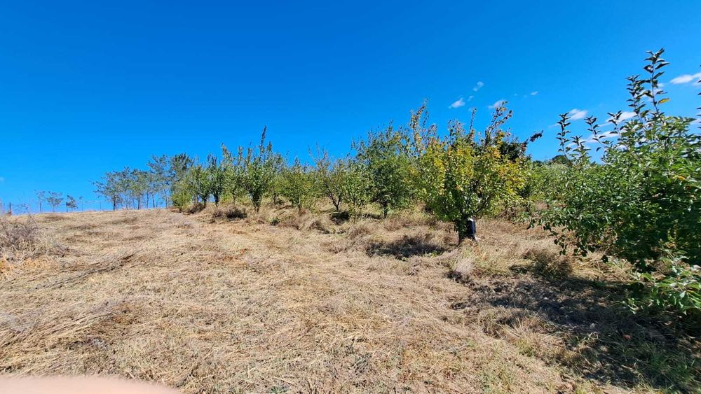 Teren  ALBOTA /CERBU, toate utilitatile!