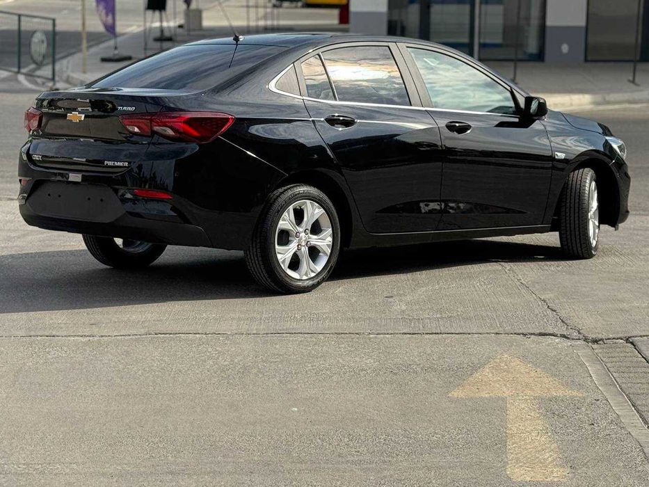 ONIX PRIMIER PLUS 2025й кора краска тозза