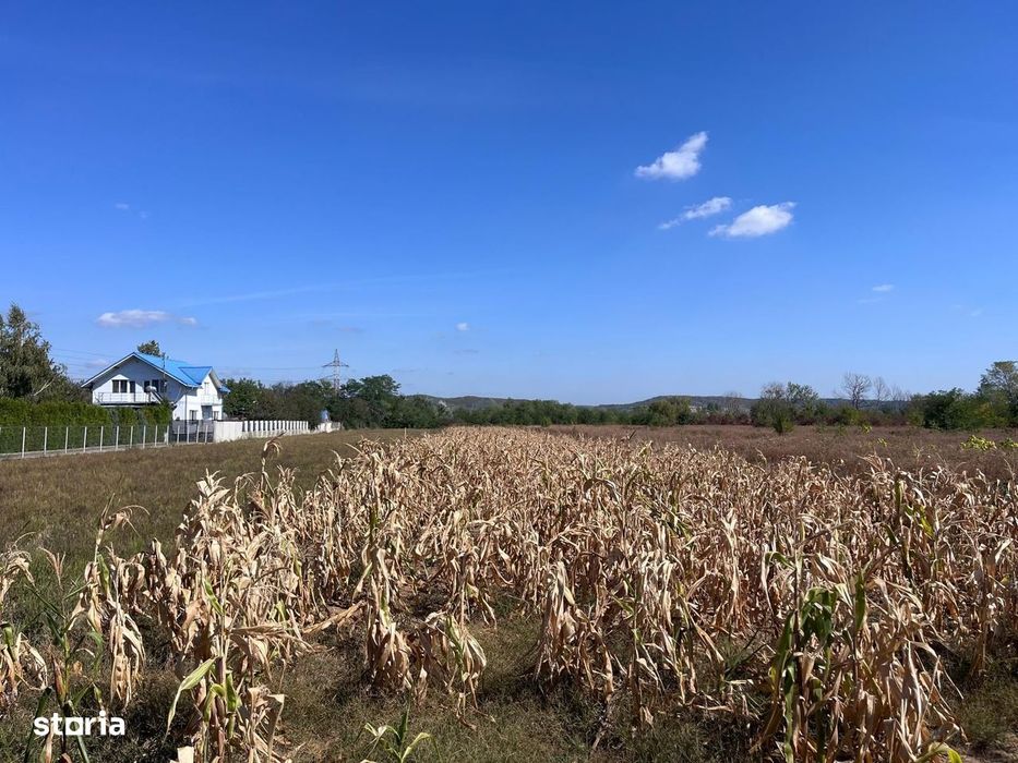 Teren arabil intravilan de vânzare- Teis!