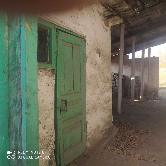 Бузиб олиш учун уй