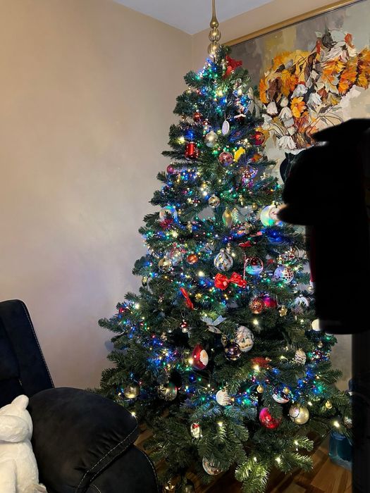 Brad de Craciun 2,4 m inaltime