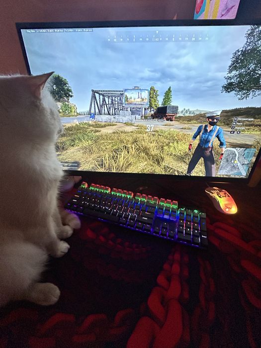 Комп 1660 super + моник