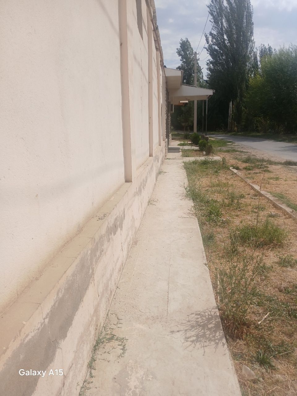 Ko‘kterakda hovli