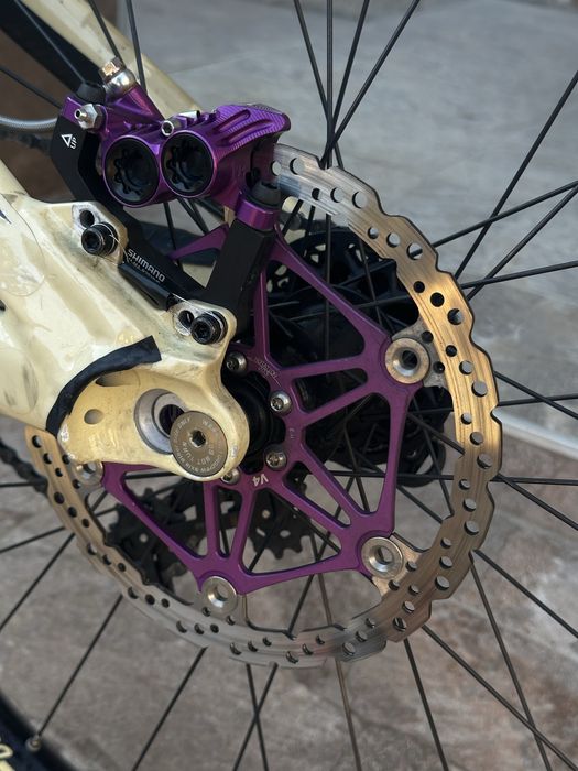 Scott Gambler 2019!!!