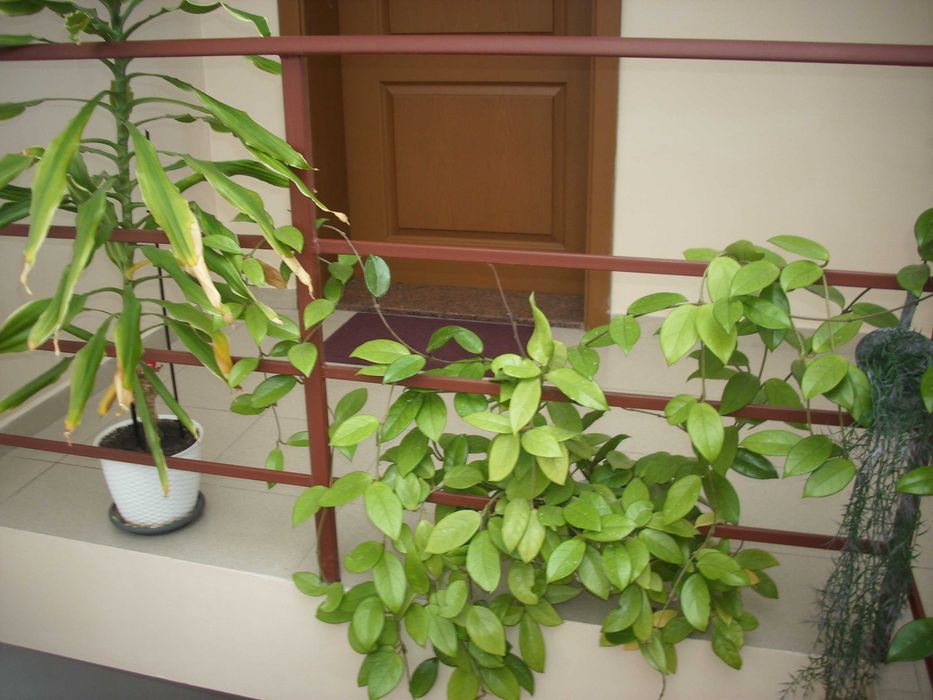 фотоапарат BenQ DC-C750